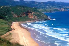Playa de la Vega